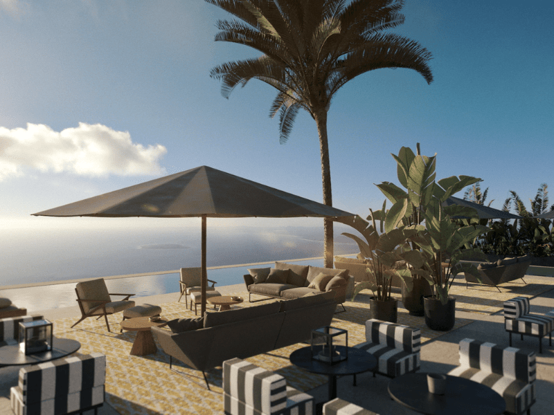 estimarbenicasim-imagen2