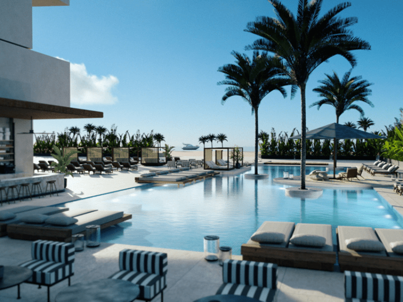 estimarbenicasim-imagen4